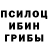Псилоцибиновые грибы прущие грибы roca_volcanica