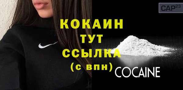 ПСИЛОЦИБИНОВЫЕ ГРИБЫ Горнозаводск