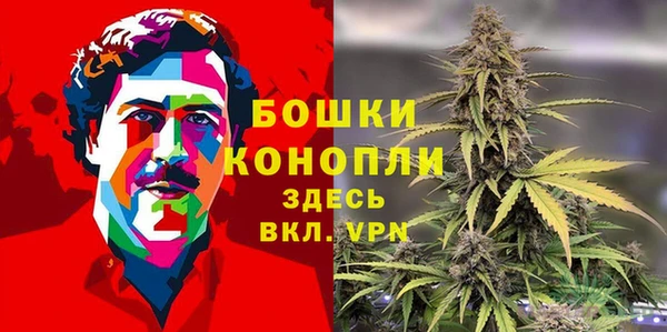 ПСИЛОЦИБИНОВЫЕ ГРИБЫ Горнозаводск