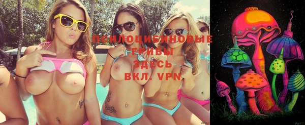 ПСИЛОЦИБИНОВЫЕ ГРИБЫ Горнозаводск