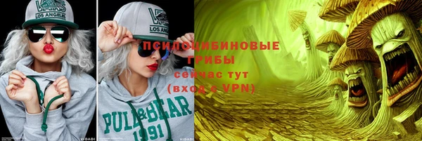 ПСИЛОЦИБИНОВЫЕ ГРИБЫ Горнозаводск