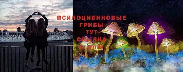 ГАЛЛЮЦИНОГЕННЫЕ ГРИБЫ Горно-Алтайск
