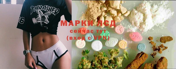 ПСИЛОЦИБИНОВЫЕ ГРИБЫ Горнозаводск