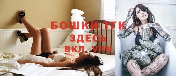 ГАЛЛЮЦИНОГЕННЫЕ ГРИБЫ Горно-Алтайск